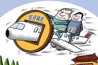 14年间近9万富人移民 中国高净值人士出走率居全球之首的背后